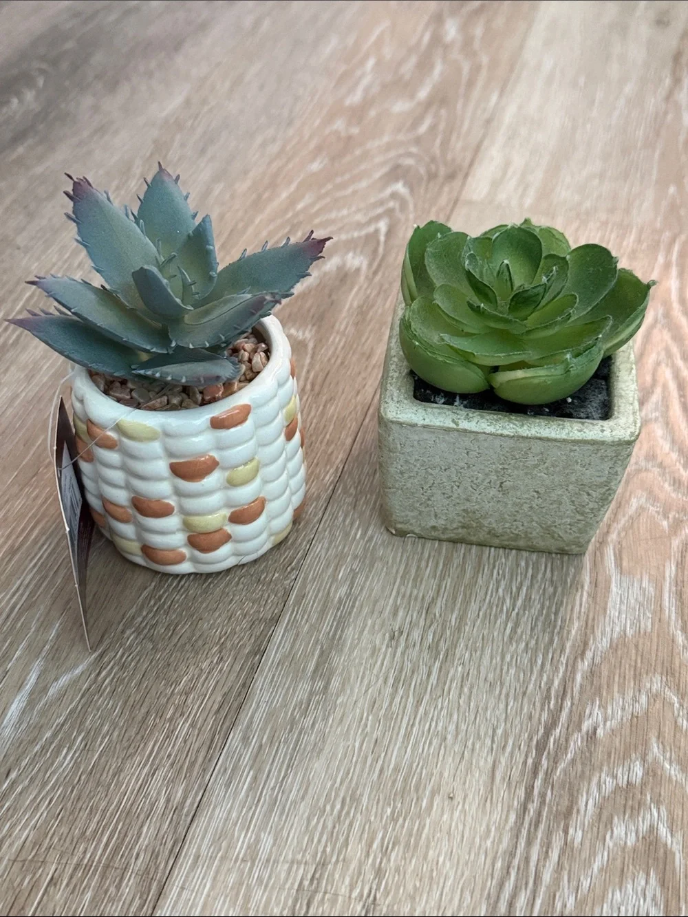 Bundle of 2 Mini Faux Succulents Non Matching Ceramic Pots Kohl's Target 2